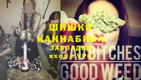 ECSTASY Богородицк